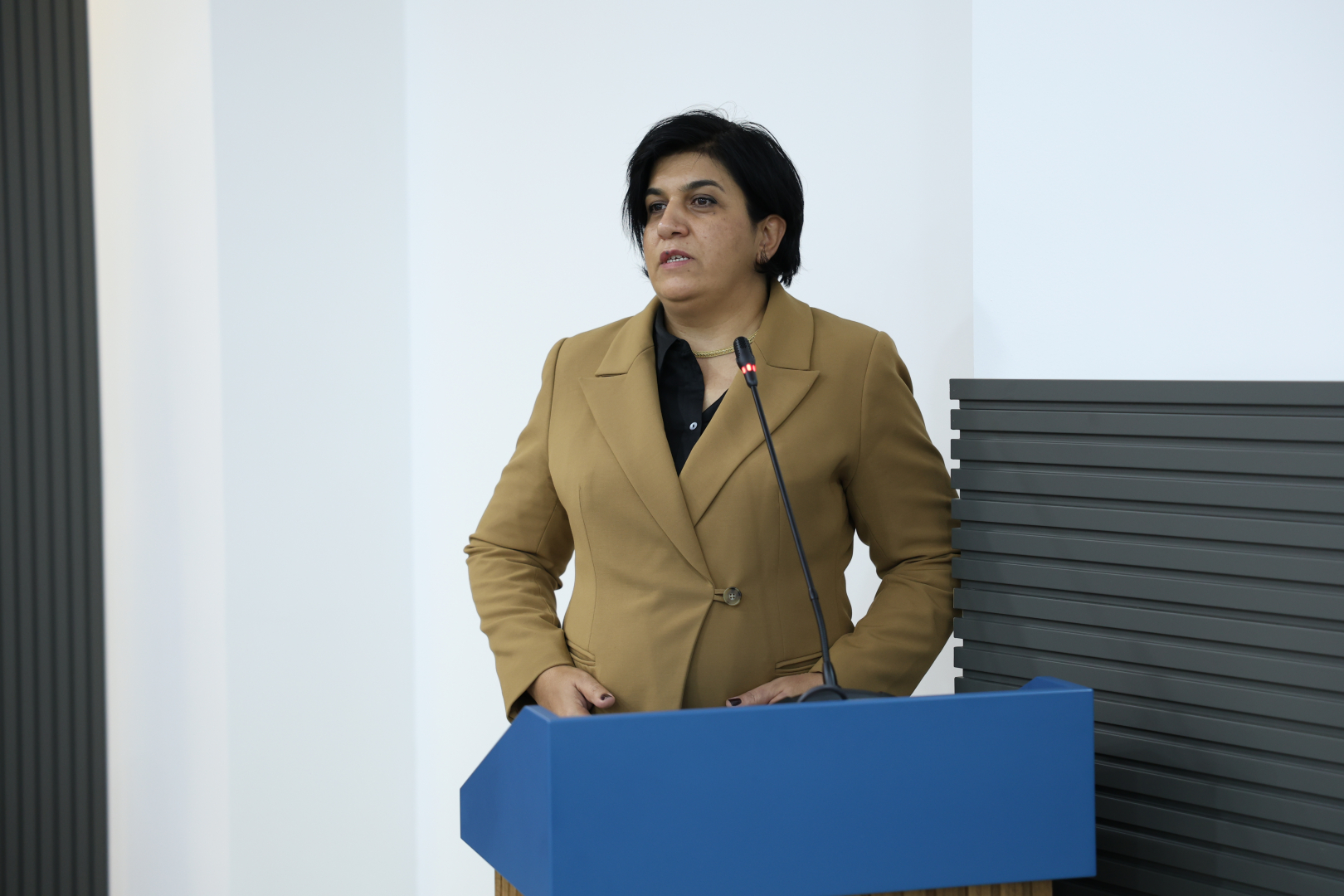 image-slide